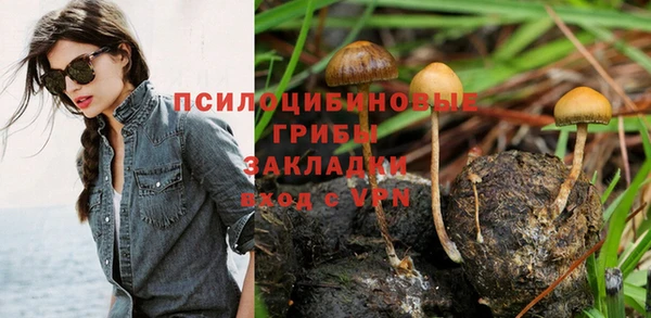 ешки Богородицк