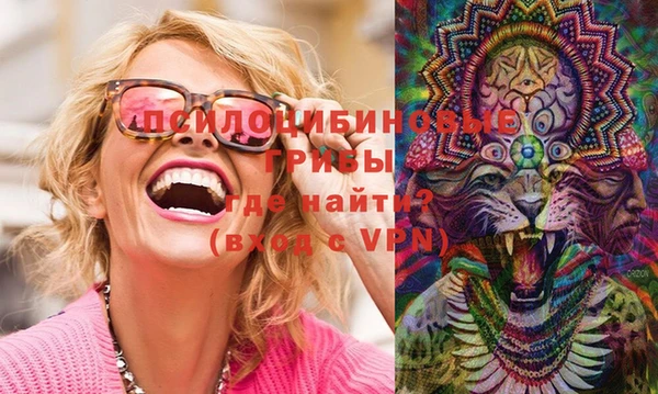 тгк Богданович